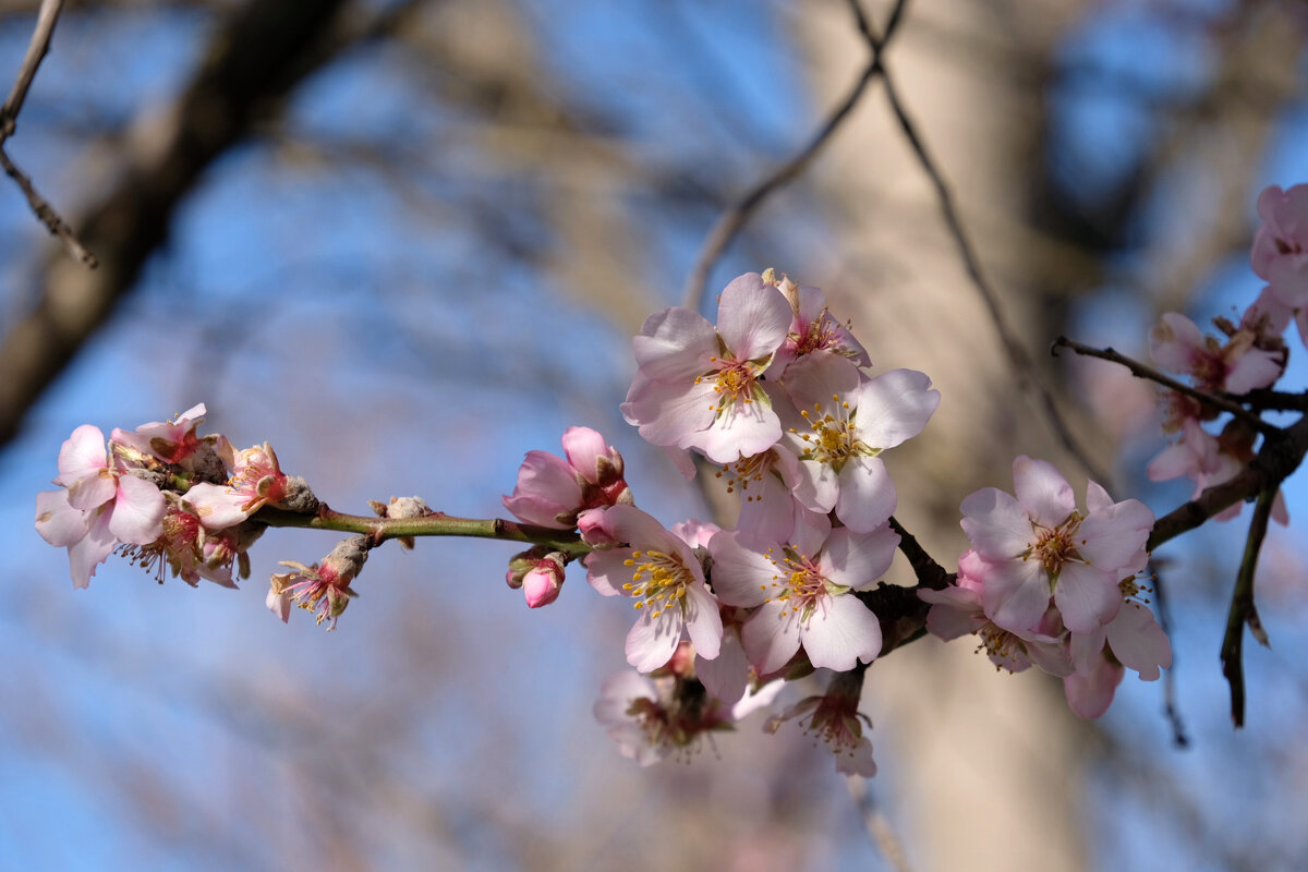 Дорогу! - Всеволод 