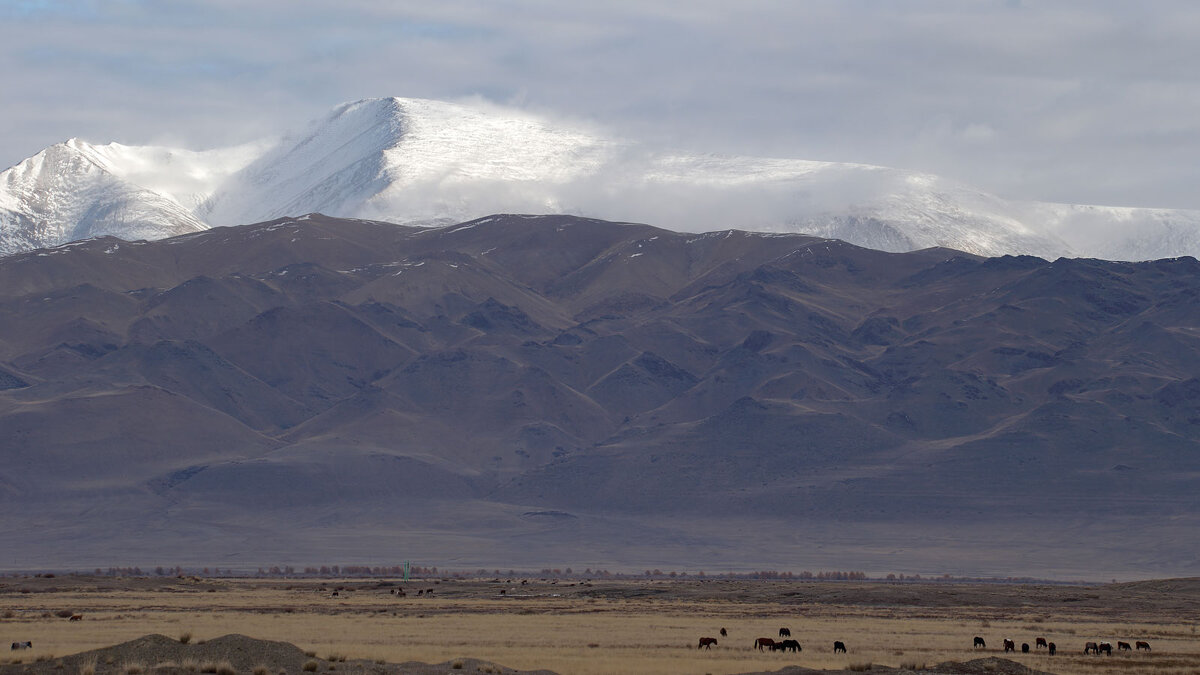 ***** - владимир 