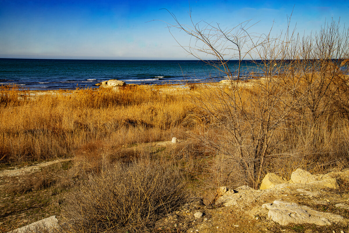 Каспий - Анатолий Чикчирный Каспий - Анатолий Чикчирный