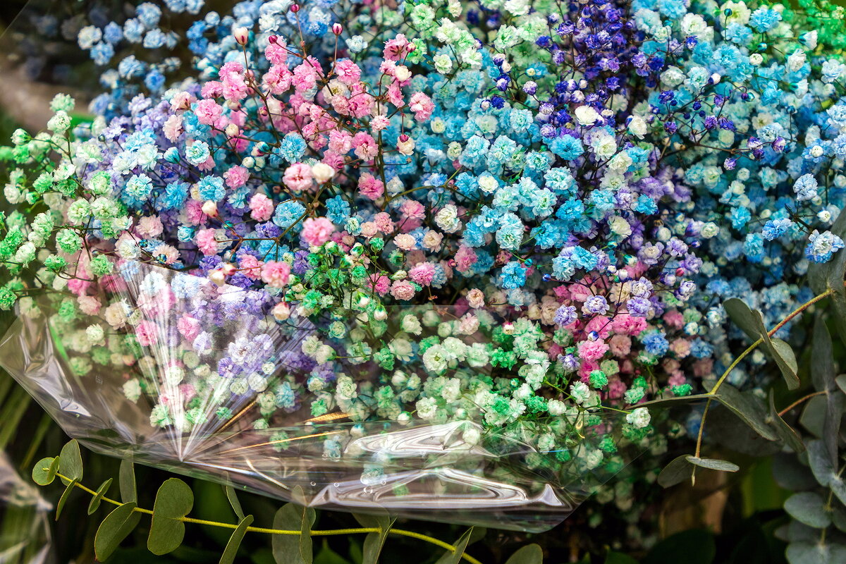 Мелочь. - Анатолий. Chesnavik.