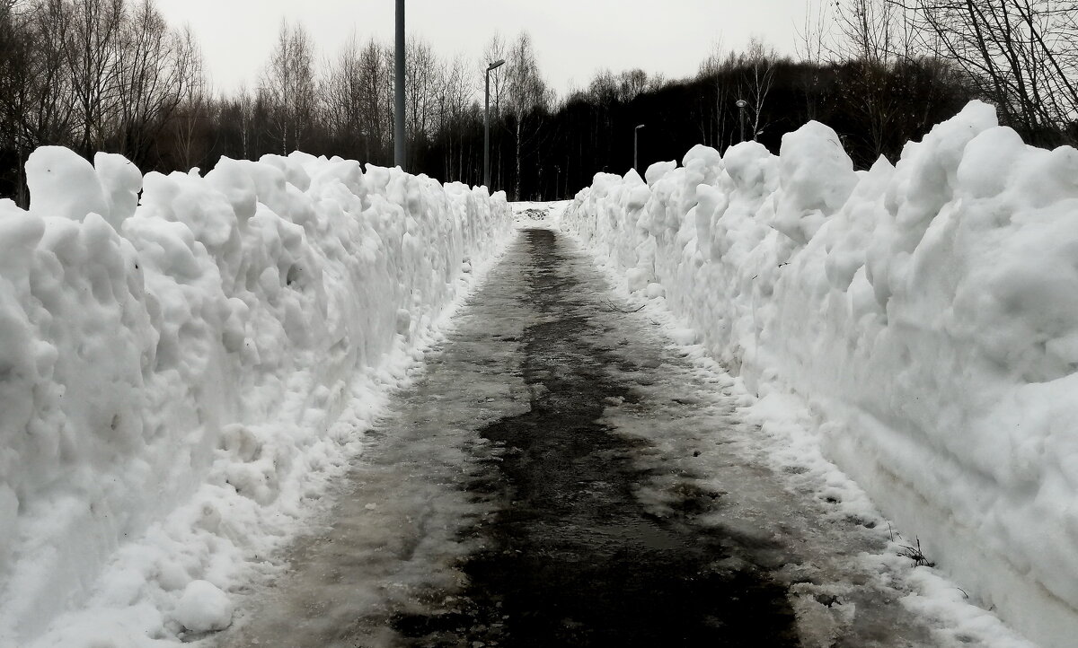 Пройти свой путь земной. Пройти сквозь строй интриг и пересудов. Уметь прощать, и не судимым быть - Юрий Вовк Пройти свой путь земной. Пройти сквозь строй интриг и пересудов. Уметь прощать, и не судимым быть - Юрий Вовк