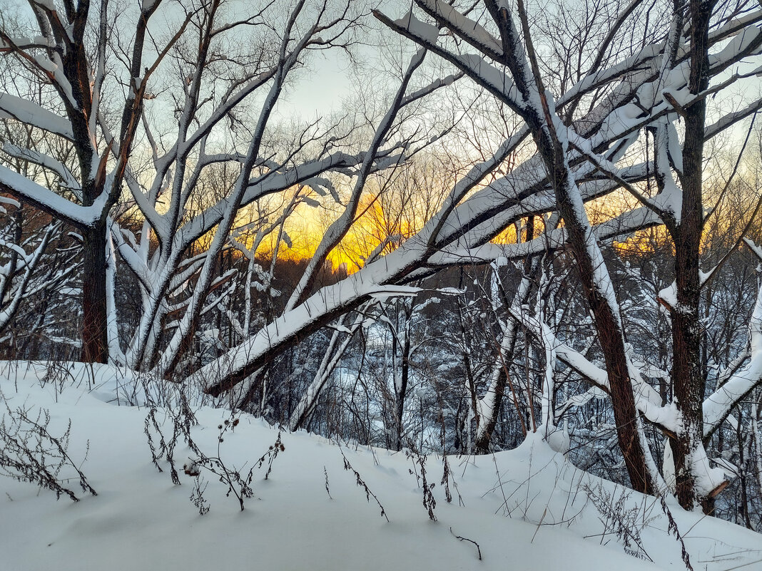 На закате - Денис Масленников