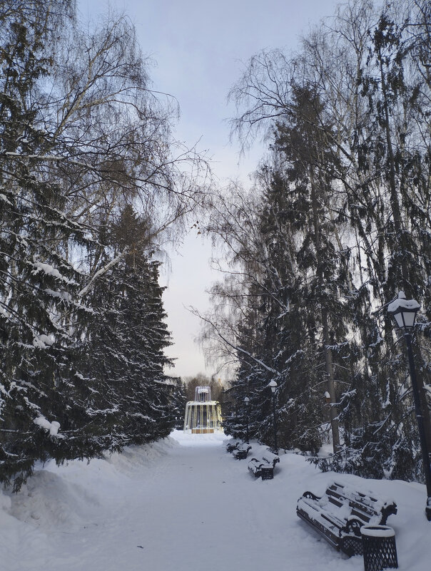 Екатеринбург.Дендрологический парк. - Александр Николаев