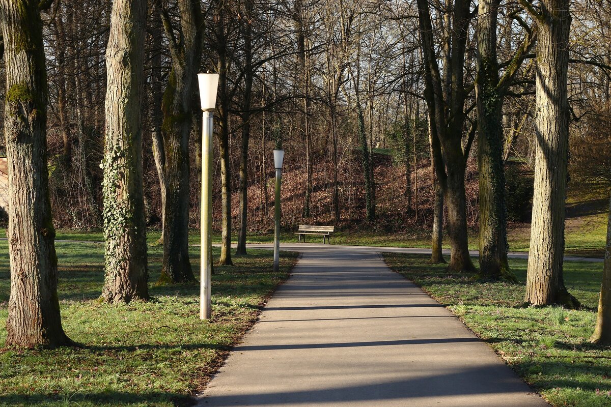 Март - Юрий. Шмаков