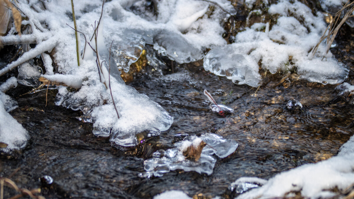 Не всё замёрзло - sorovey Sol