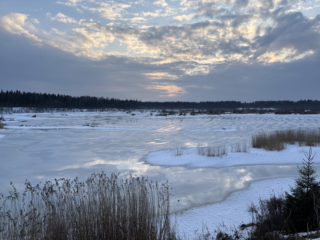 Март - Ольга Савельева 