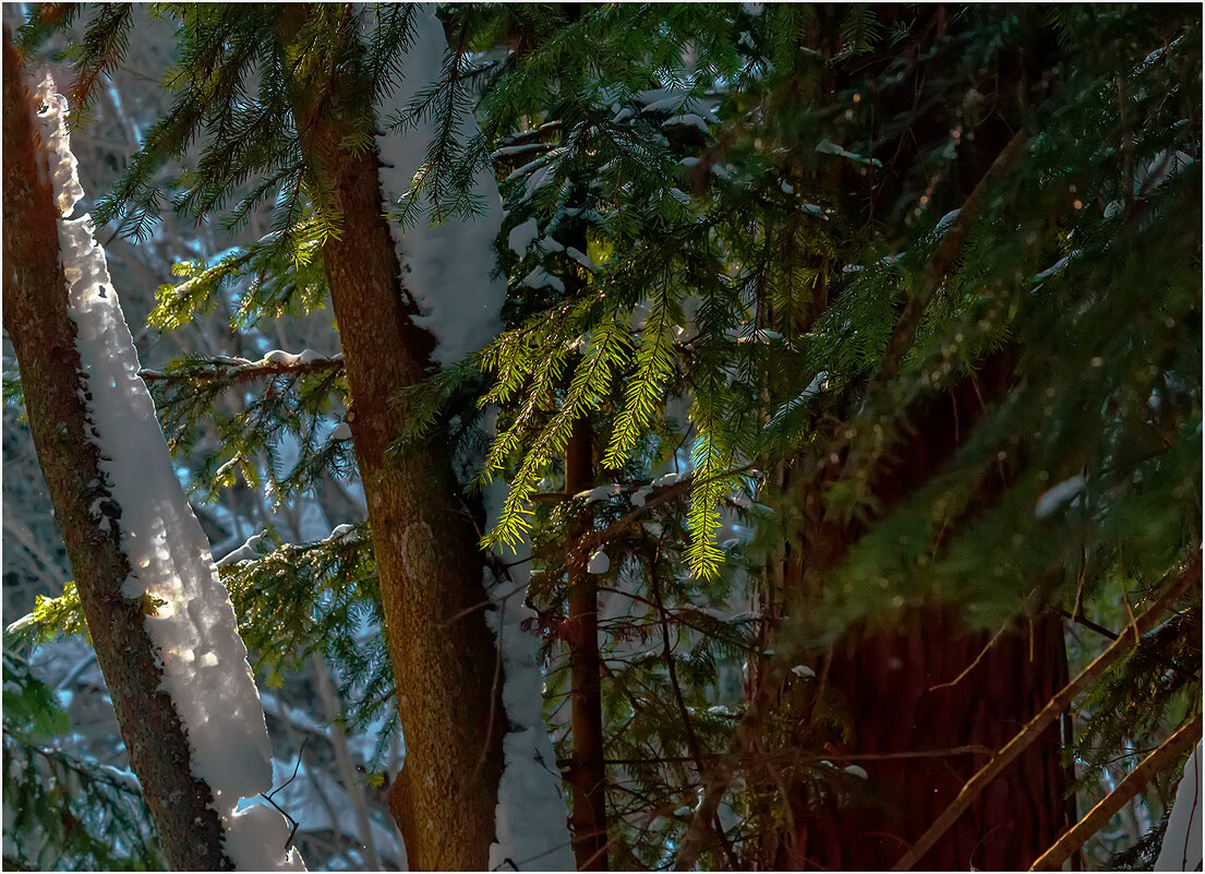 Картинка марта - Валентин Котляров