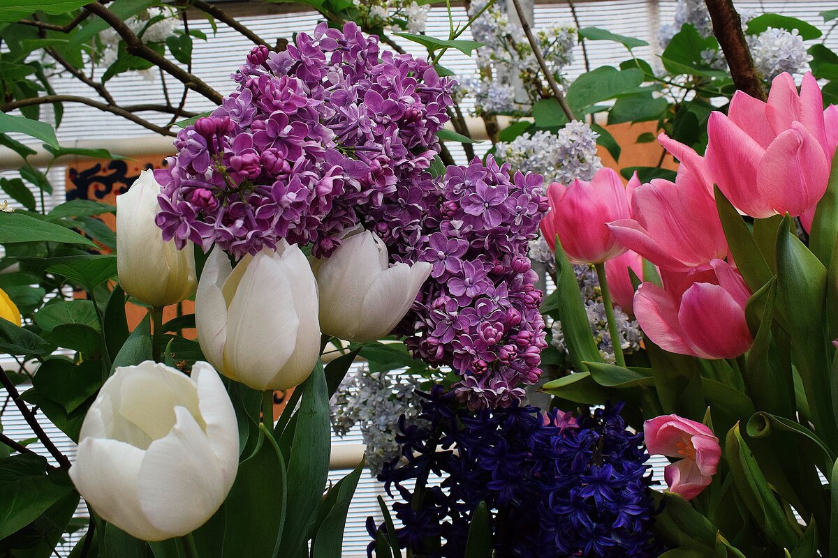 Праздник весенних цветов. - Татьяна Помогалова