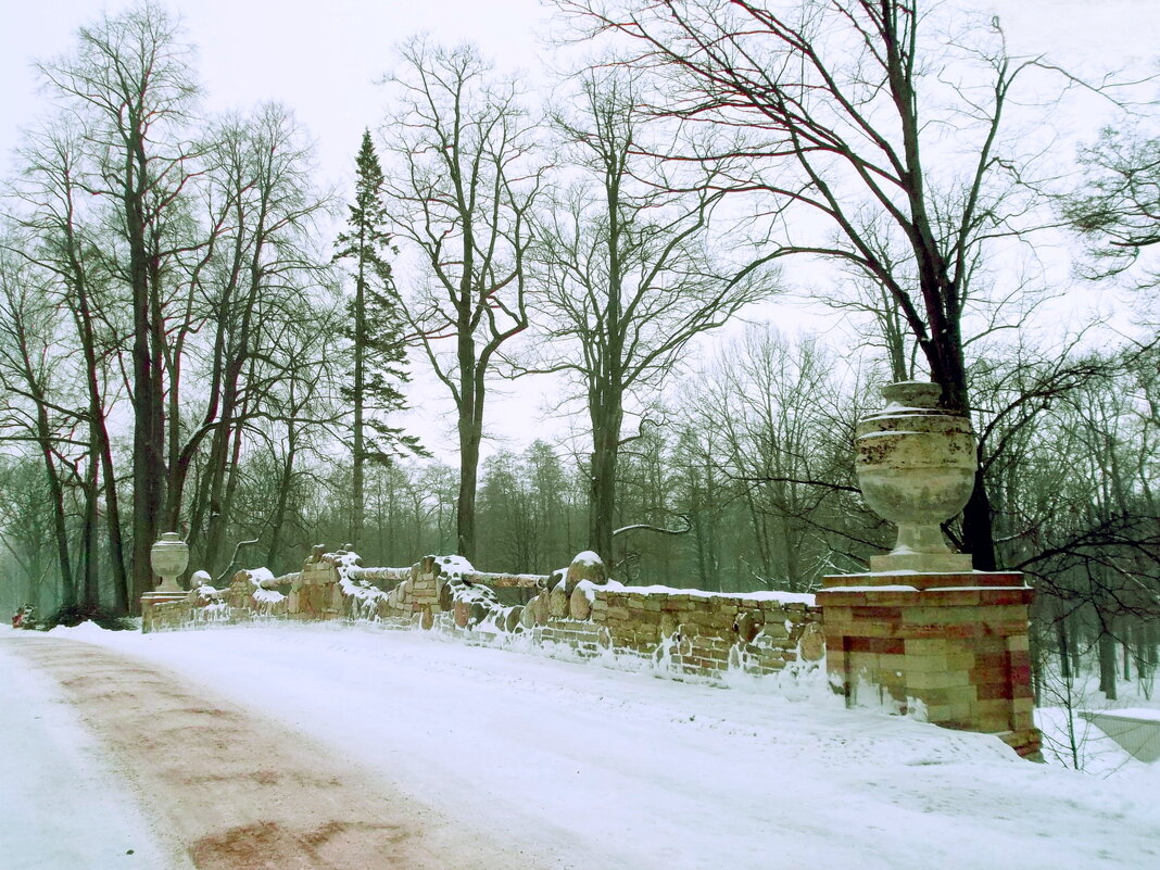 Из зимних прогулок - VasiLina *