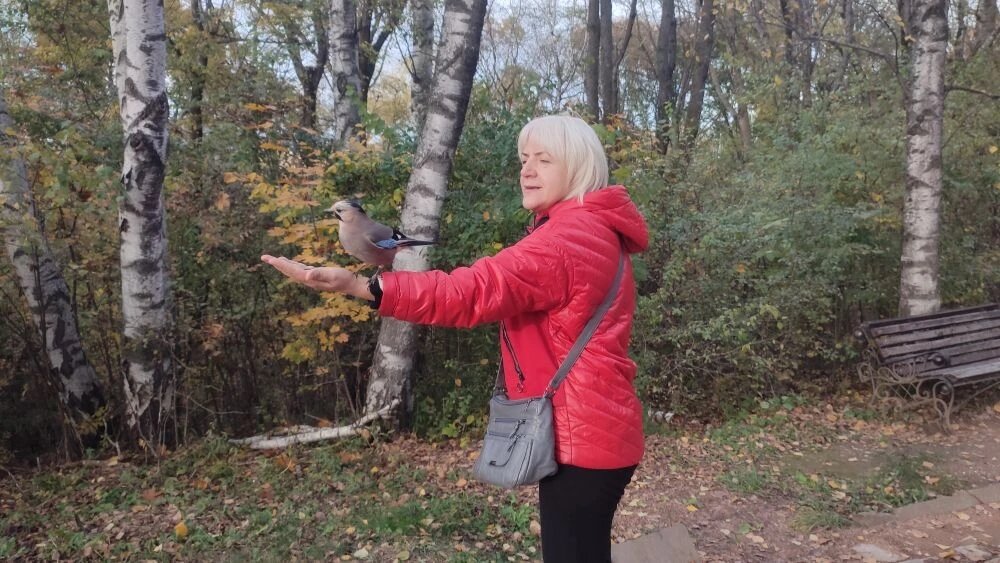 Ручные сойки в парке Кисловодска - Мариша 