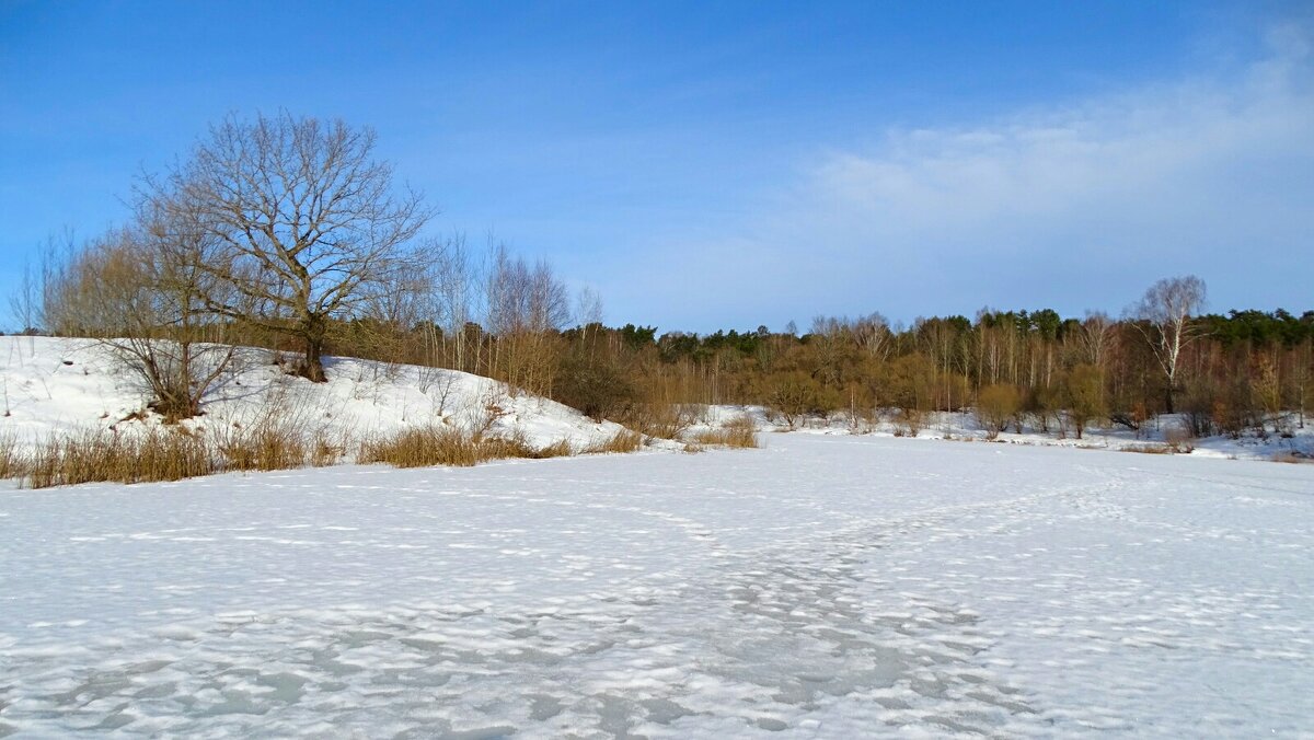 Смоленская весна. - Милешкин Владимир Алексеевич 