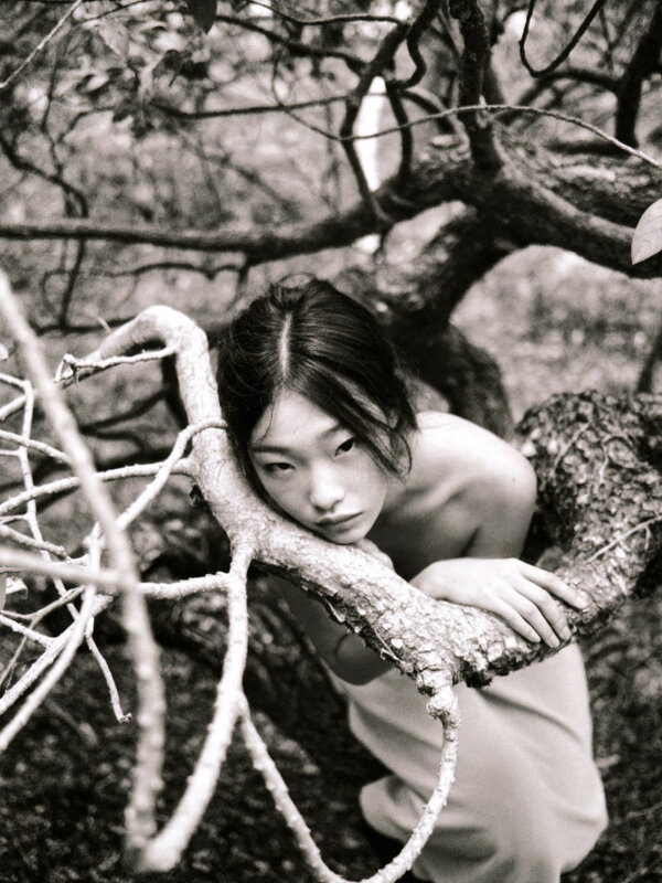 Secluded / Наедине - Евгений Нодвиков