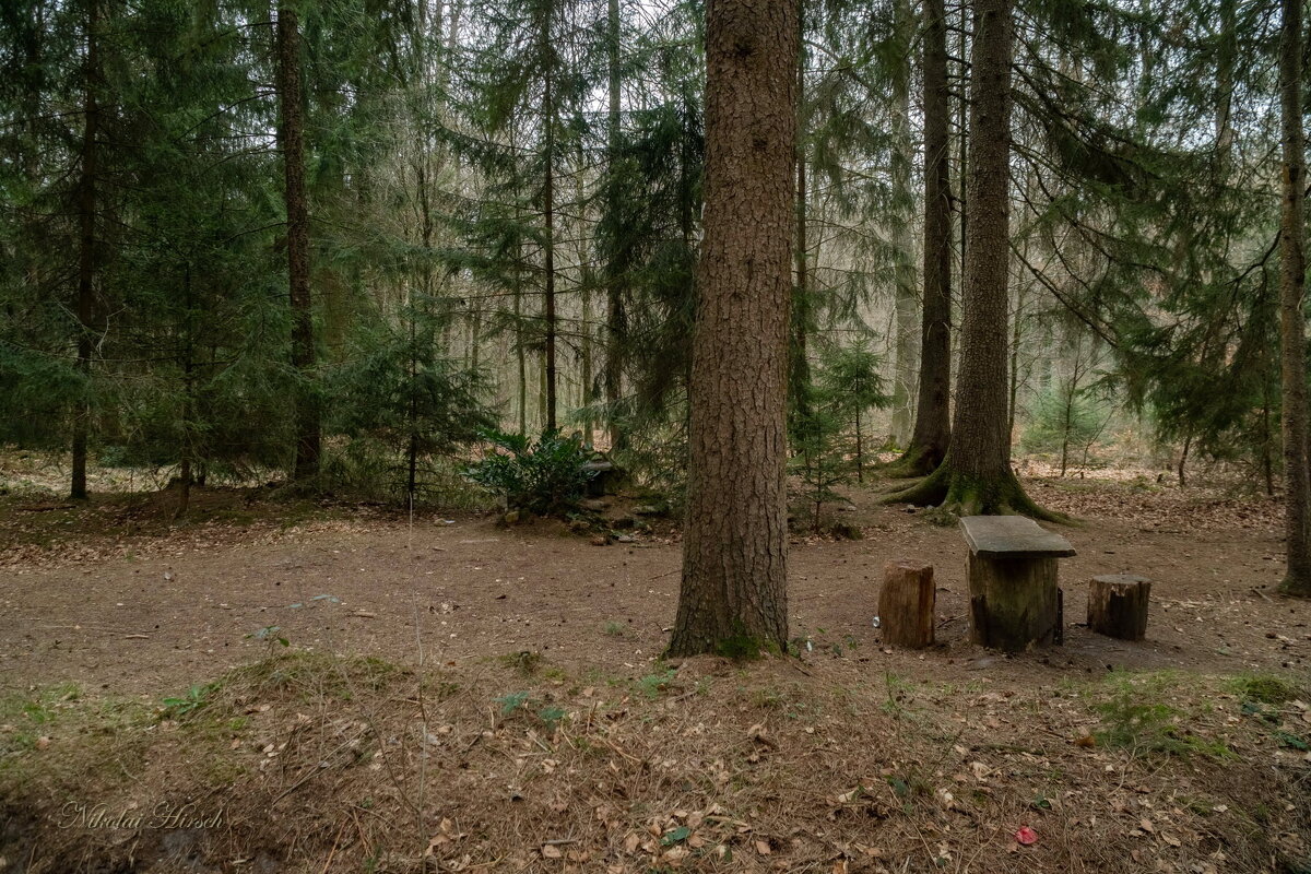 Для усталого путника... - Николай Гирш