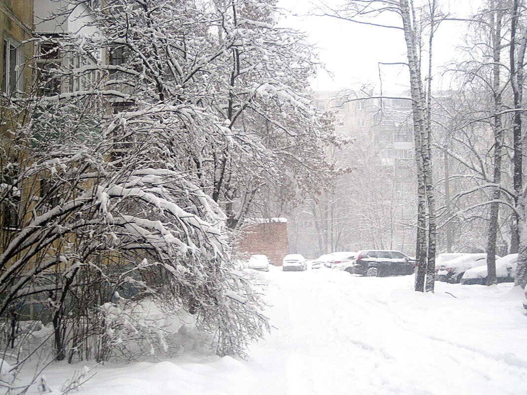 Зимой в городе - Елена Семигина