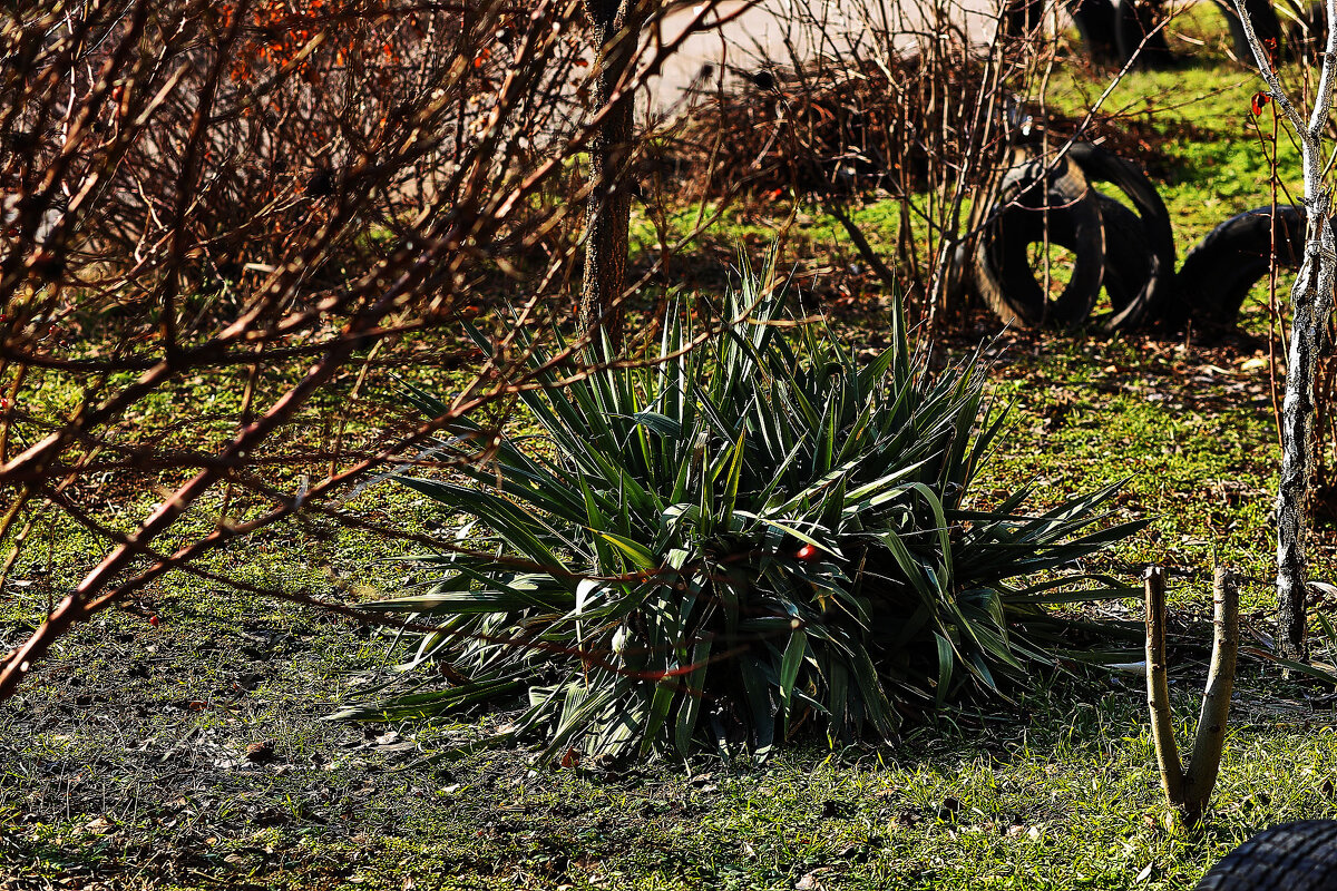 Весна идёт - Юрий Гайворонскiий