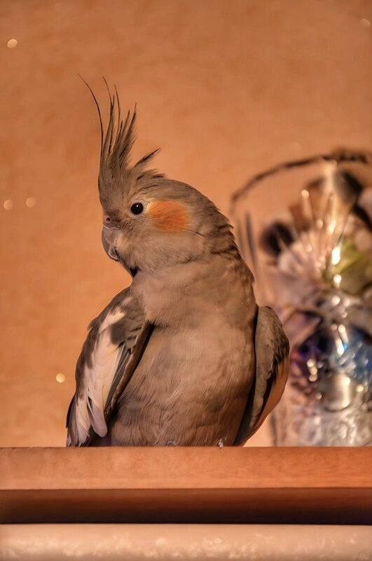 Варюша. - Станислав Мутовин