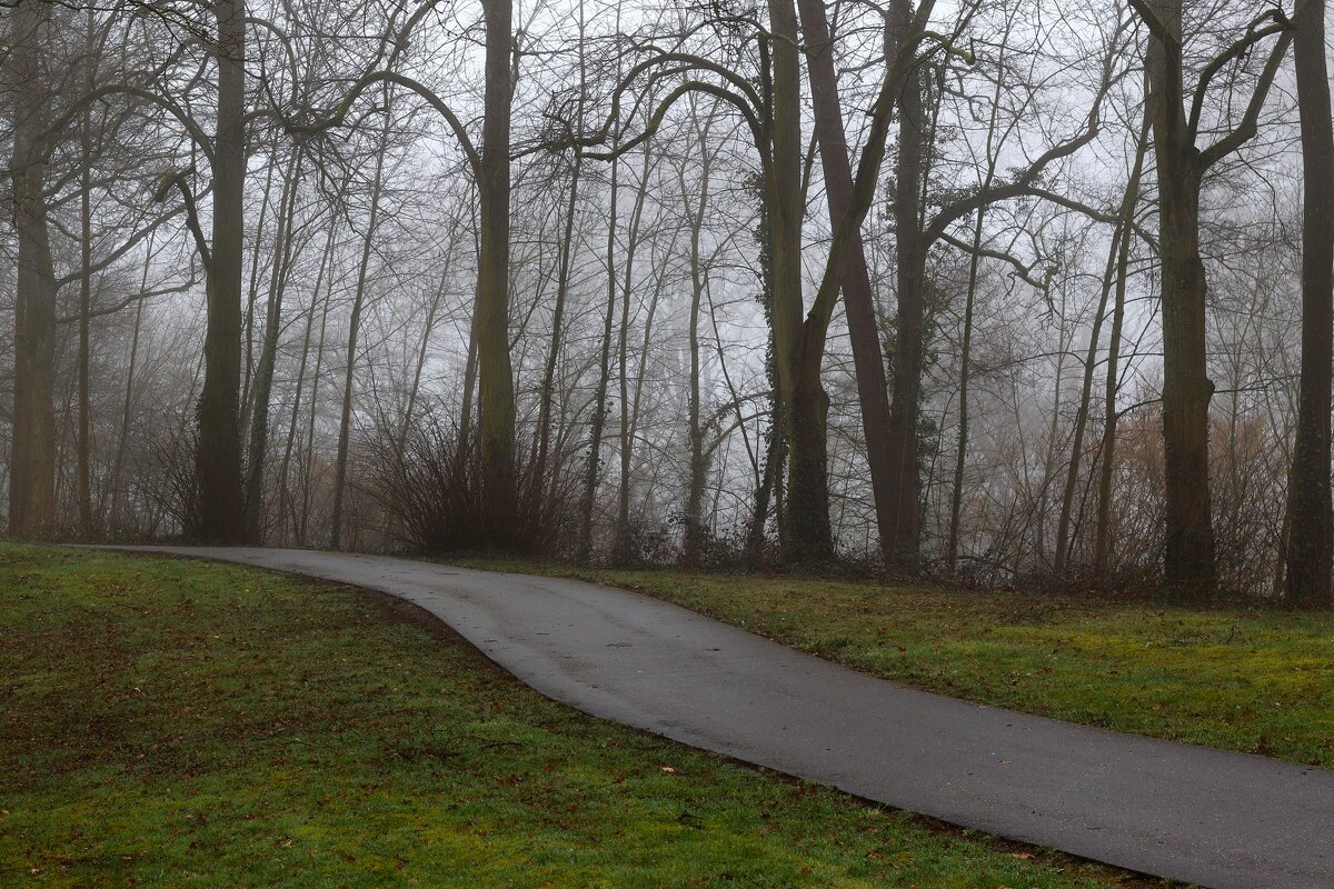 Утро - Юрий. Шмаков