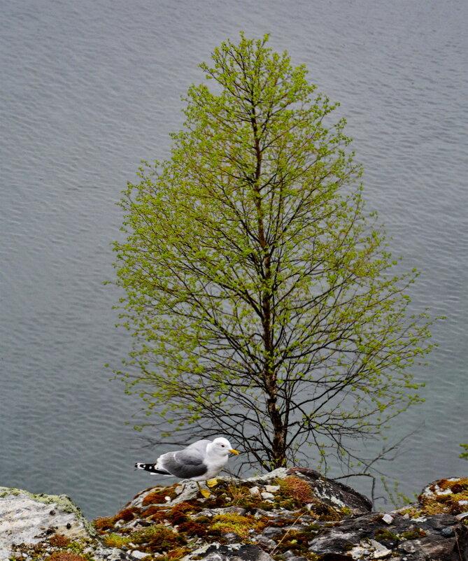 ... - Анастасия Смирнова