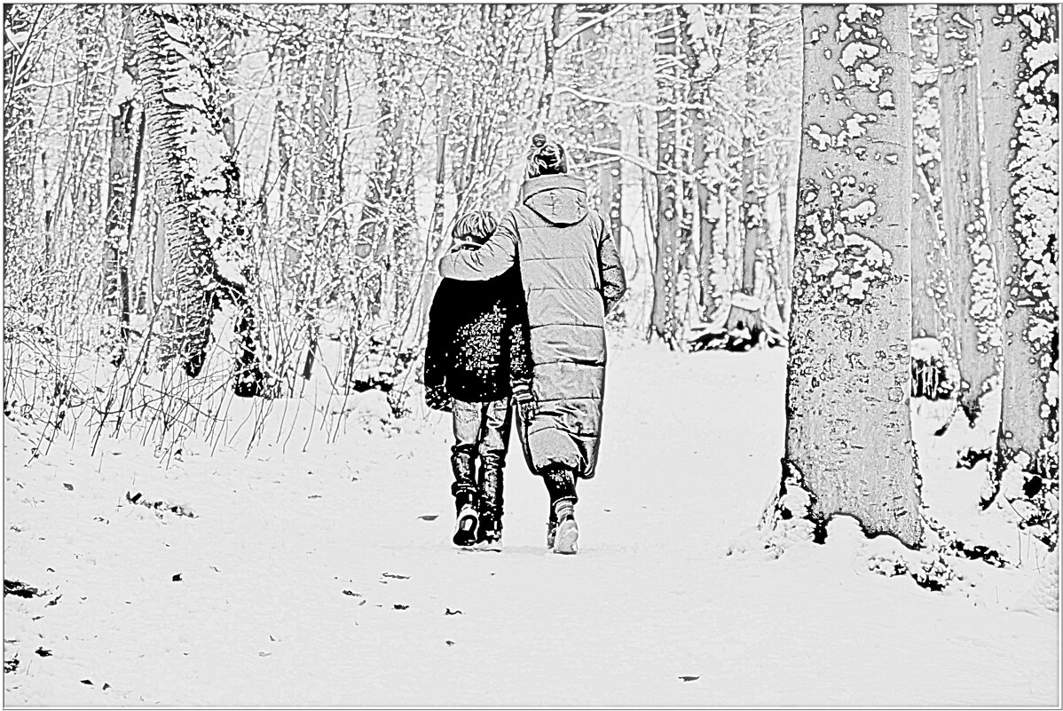 В СКАЗОЧНОМ ЛЕСУ... - Elvira E. 