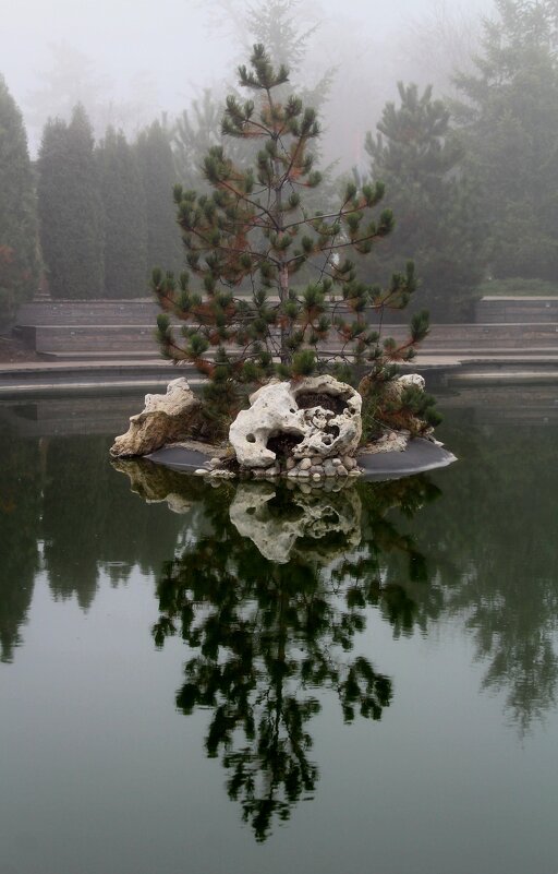 Туманное утро в городском парке - Tina Kott