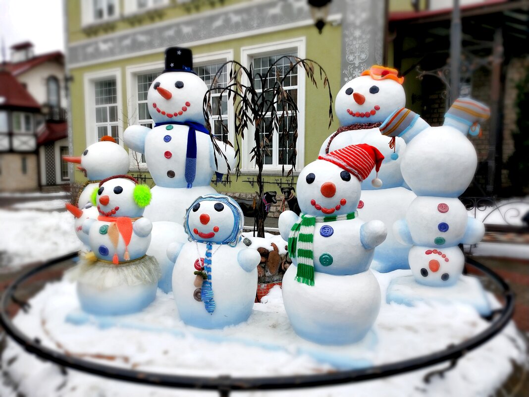 Семья Снеговиков - Александр 