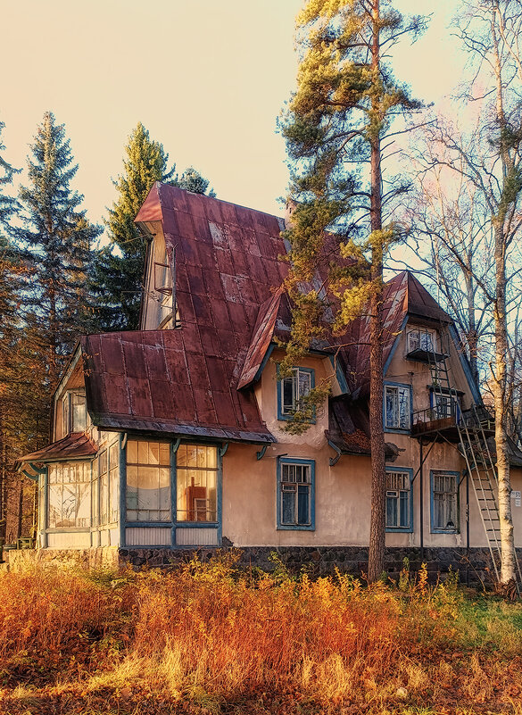 Дача Лумберга. - Лилия *