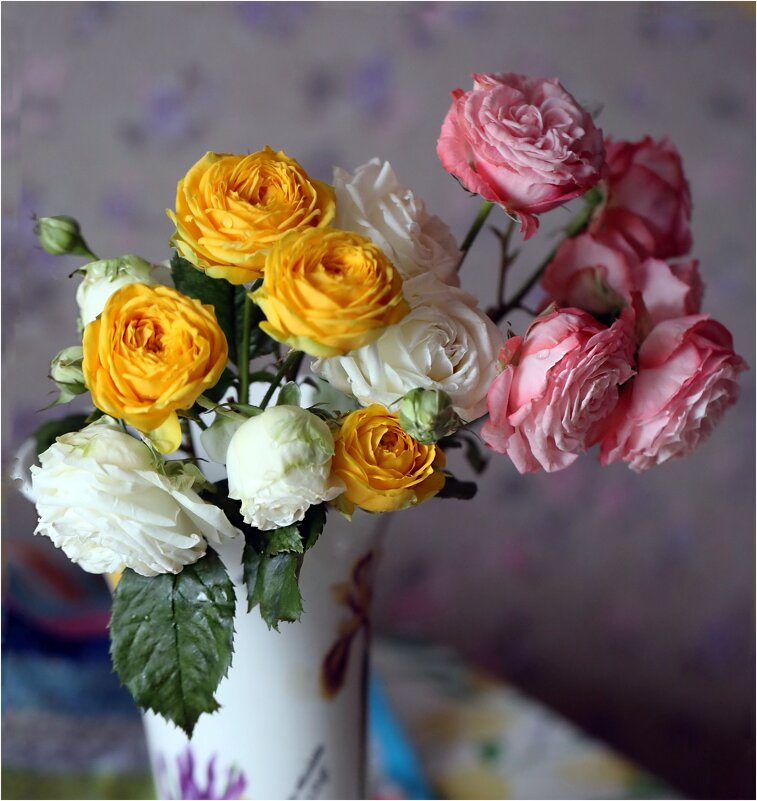 Вариант - ZNatasha -