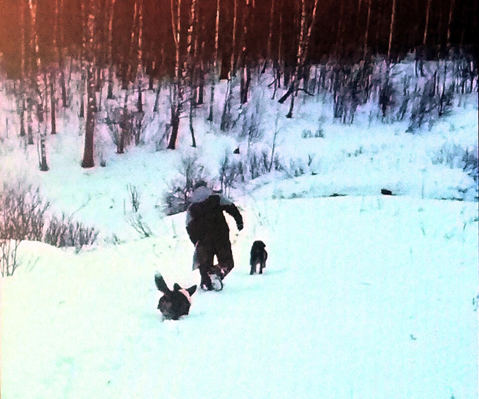 Утренняя прогулка на даче - Ольга Довженко