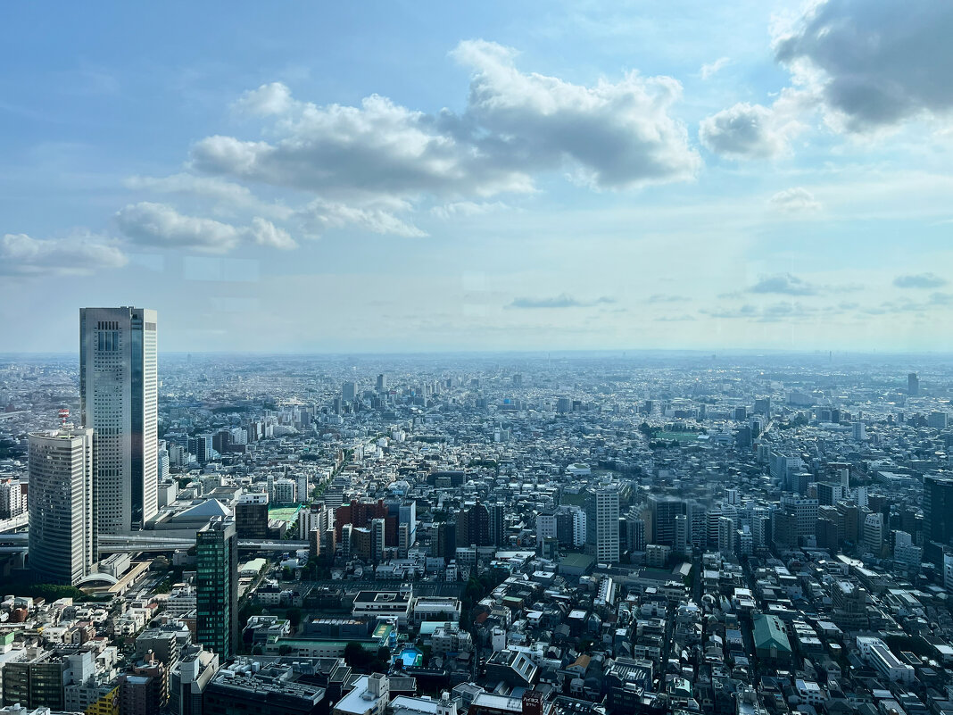 Токио,город в котором на 2025г проживает более 33 млн человек - Николай Соколухин