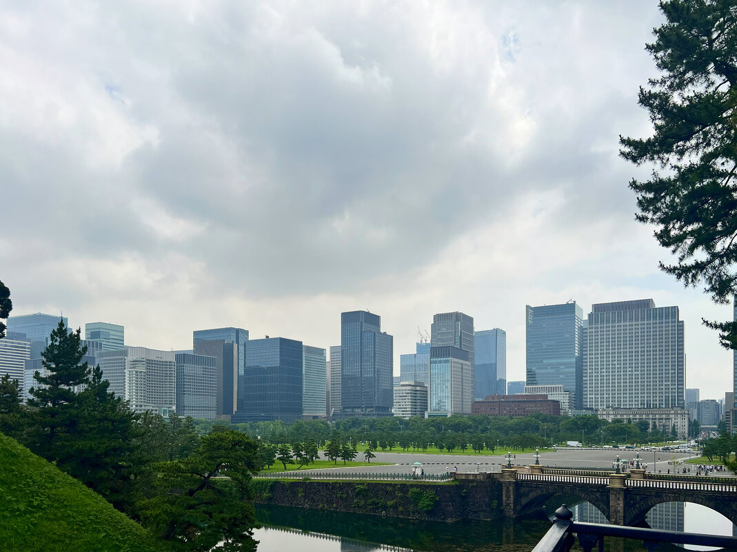 Деловой район Токио с подстриженными соснами - Николай Соколухин