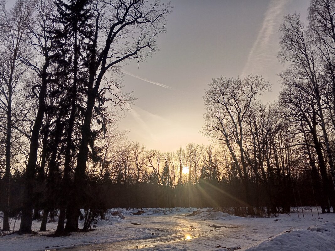 Весна - Сапсан 