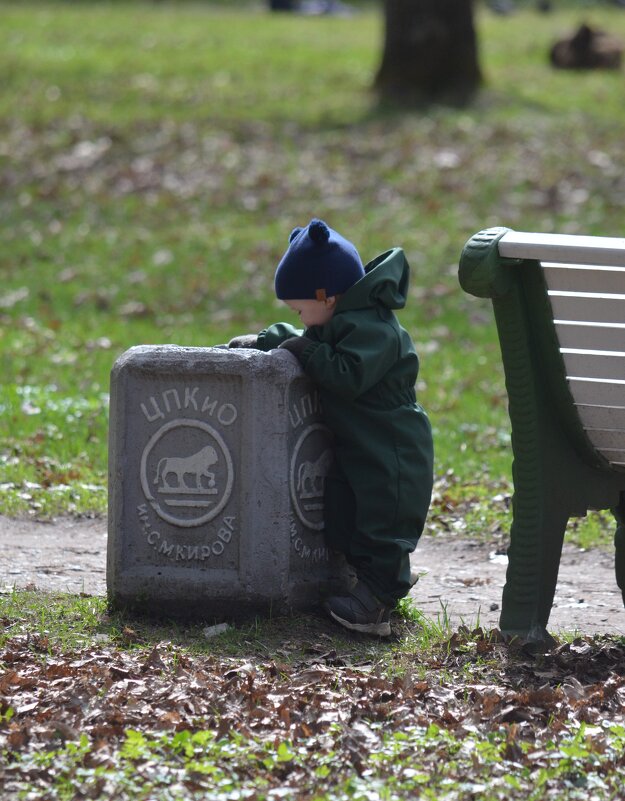 пока родители в телефонах сидят - Savayr 