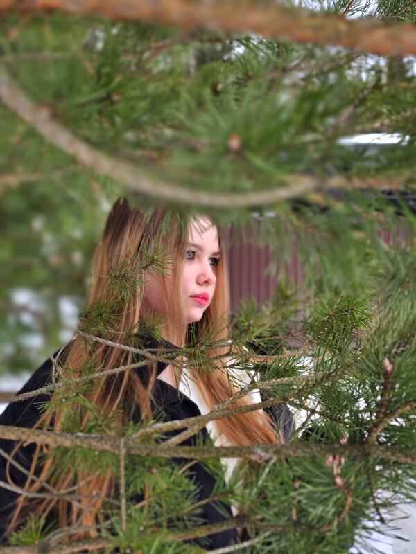 Девушка посреди еловых веток - Мария Яковлева