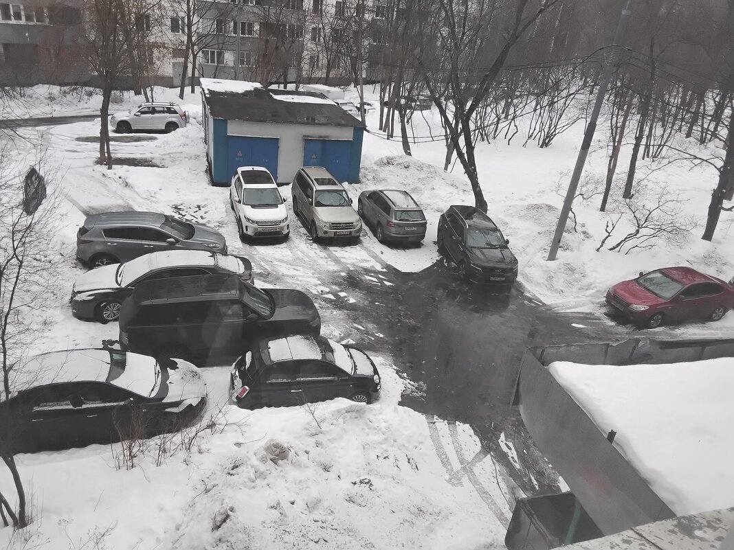 Из моего окна - Дмитрий Никитин