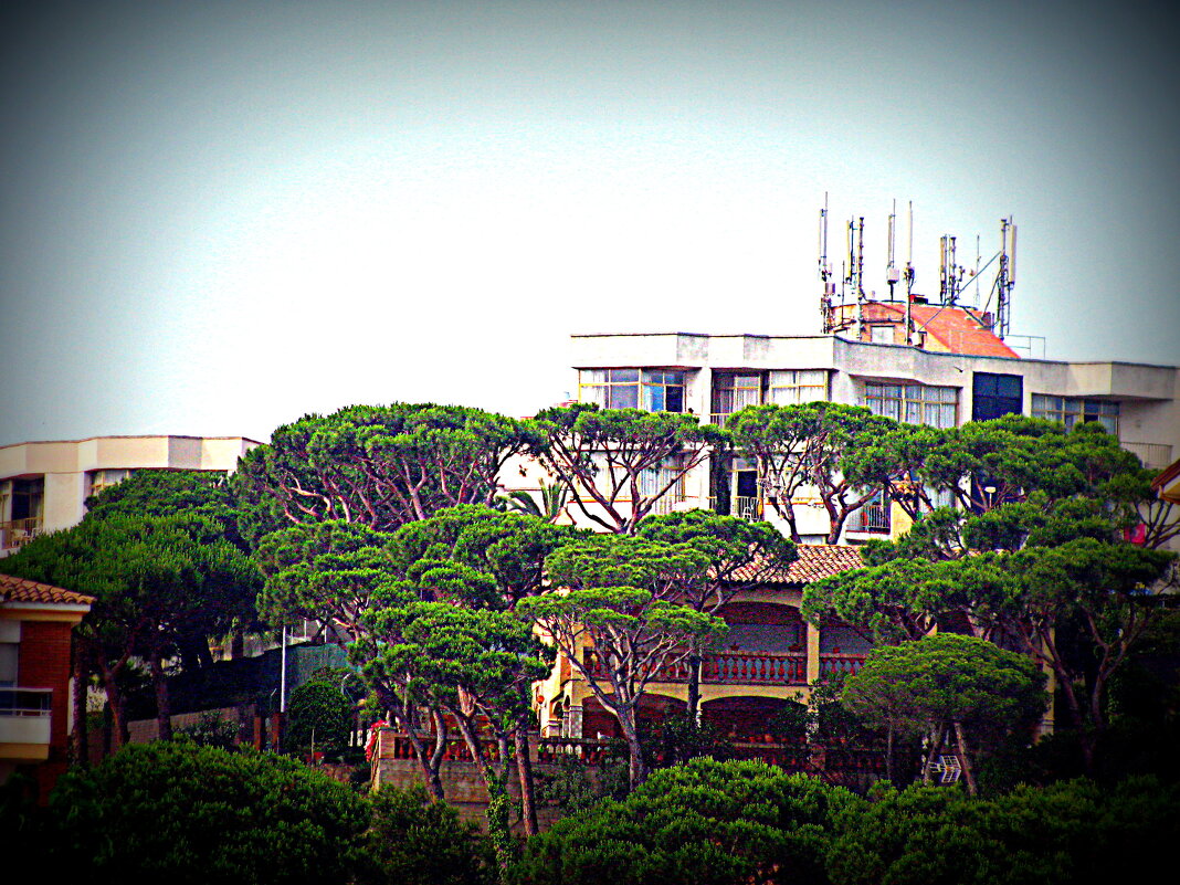 Барселона. - Владимир Драгунский