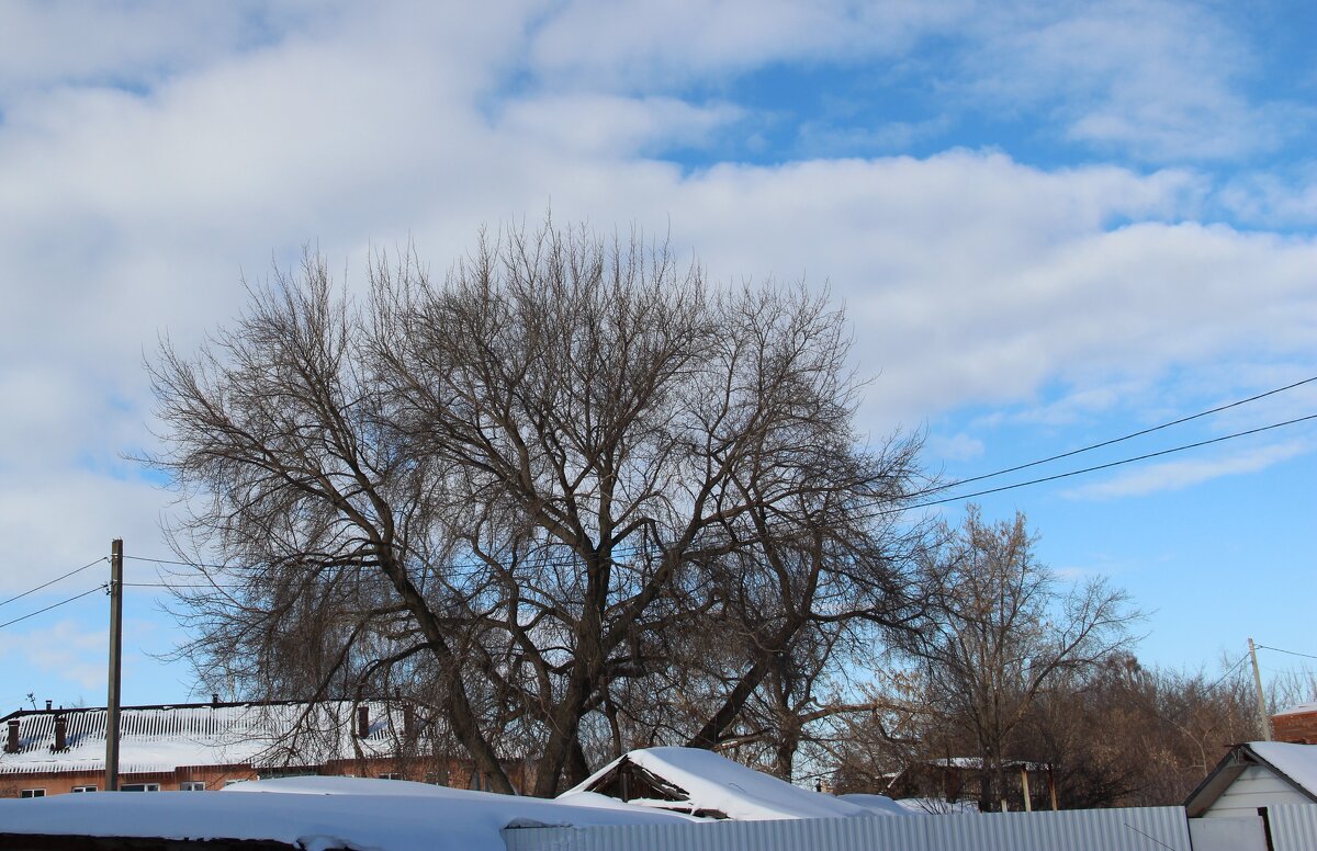 за городом зима - Венера Чуйкова