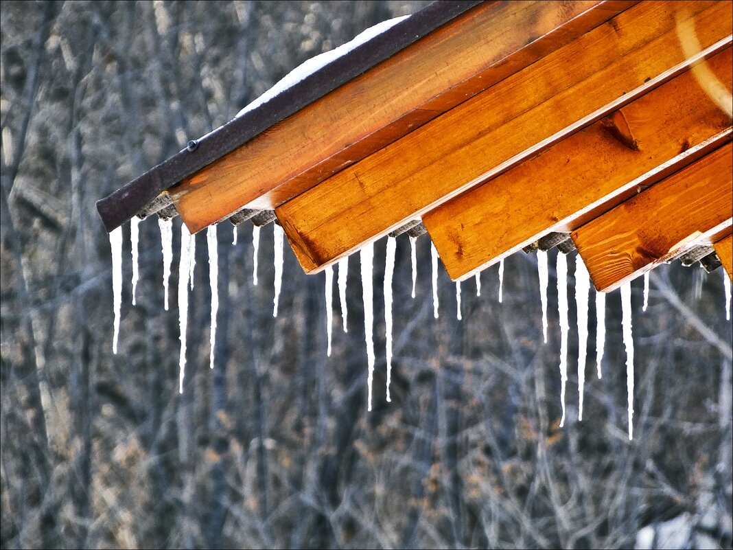 Первая капель - Валентина *