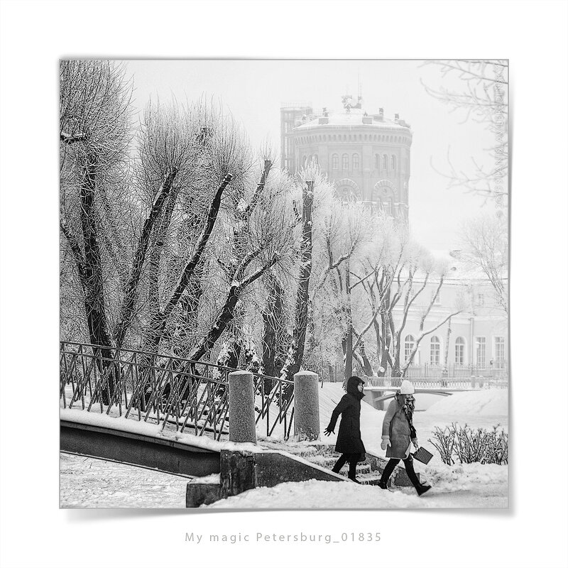 My magic Petersburg_01835_Зима в Таврическом саду - Станислав Лебединский