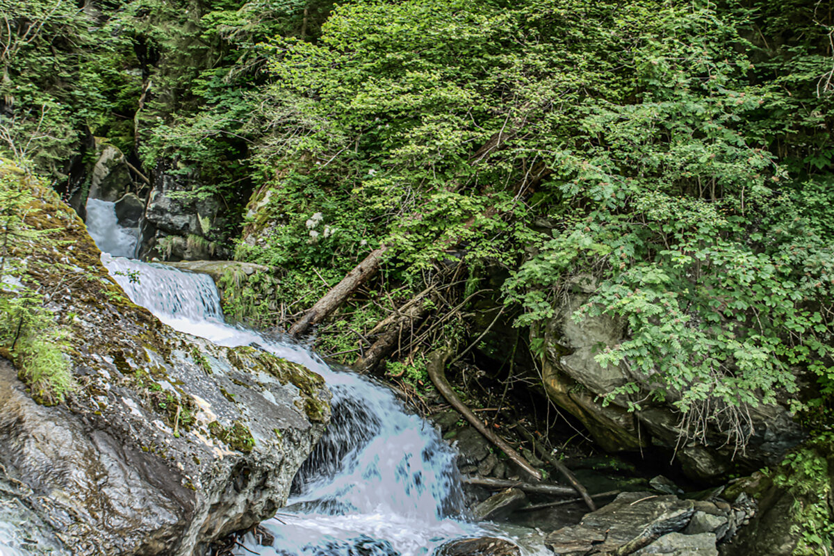 Горный ручей. - Lucy Schneider 