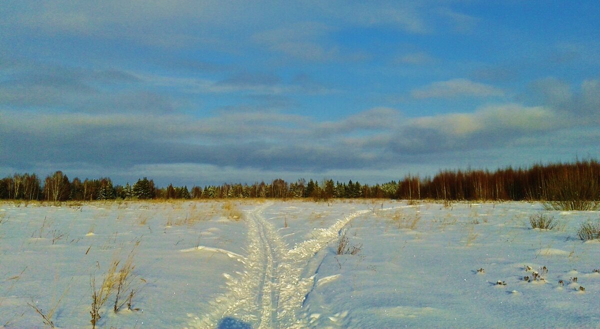 лыжня по снегу - Владимир 