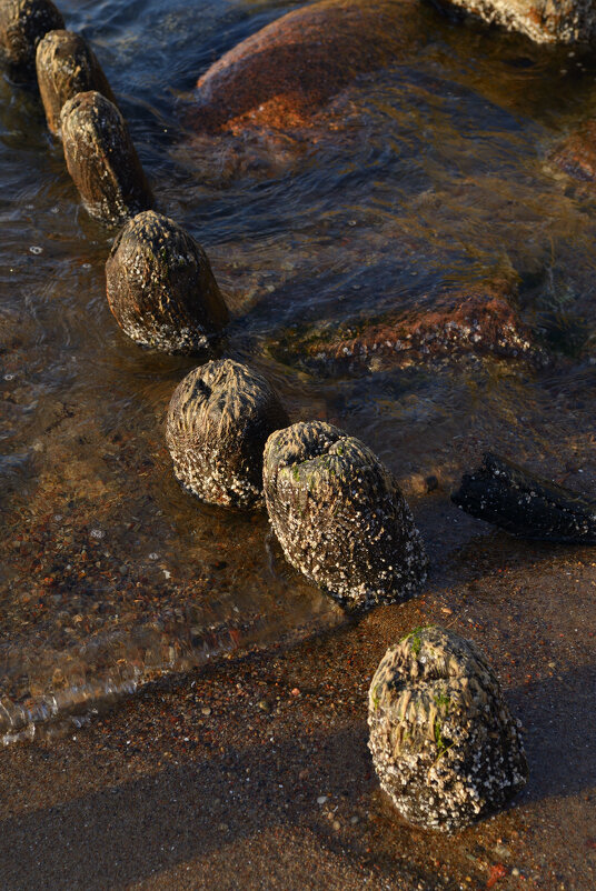 Остатки волнореза. - Константин Белоногов