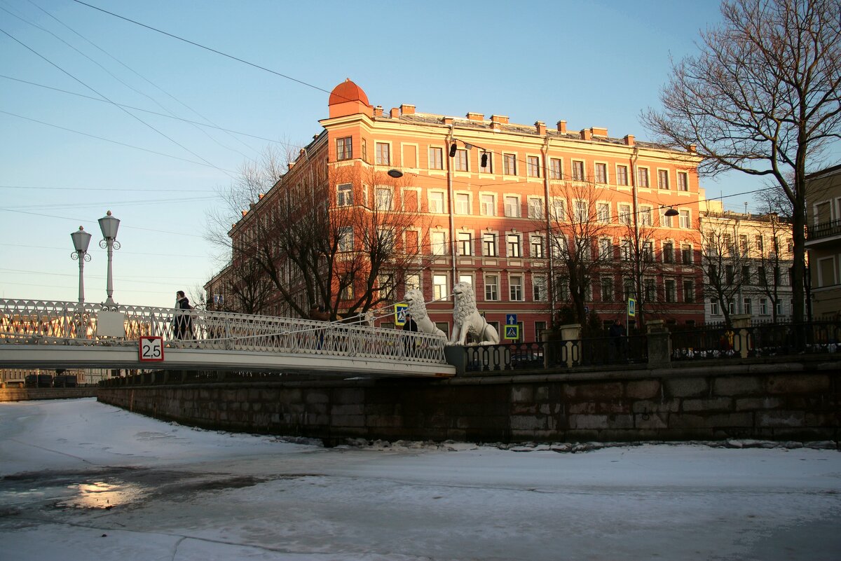 Львиный мостик - Наталья Герасимова