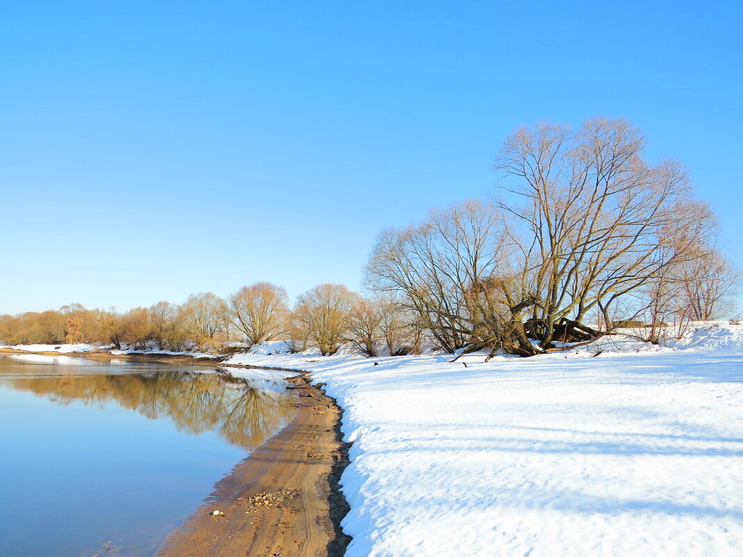 Снежный берег - Андрей Снегерёв