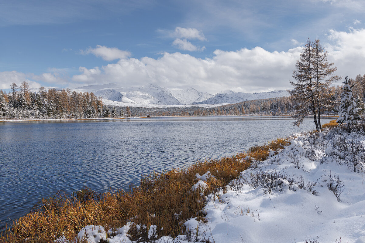 Киделю - Sergey38 