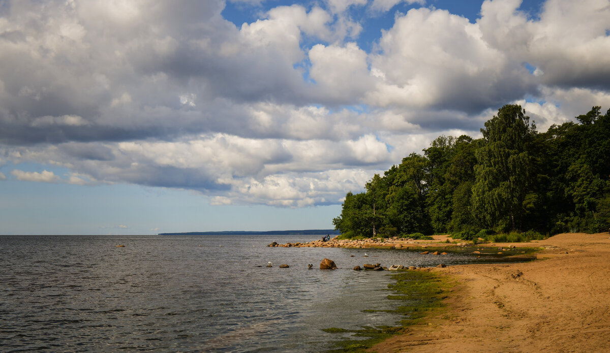 Зеленогорск. Набережная Финского залива - Магомед .