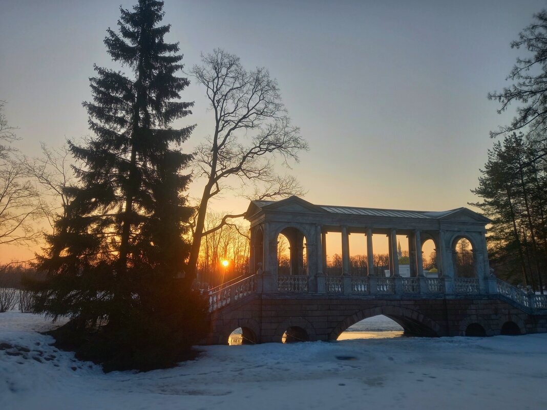 Рассвет - Сапсан 