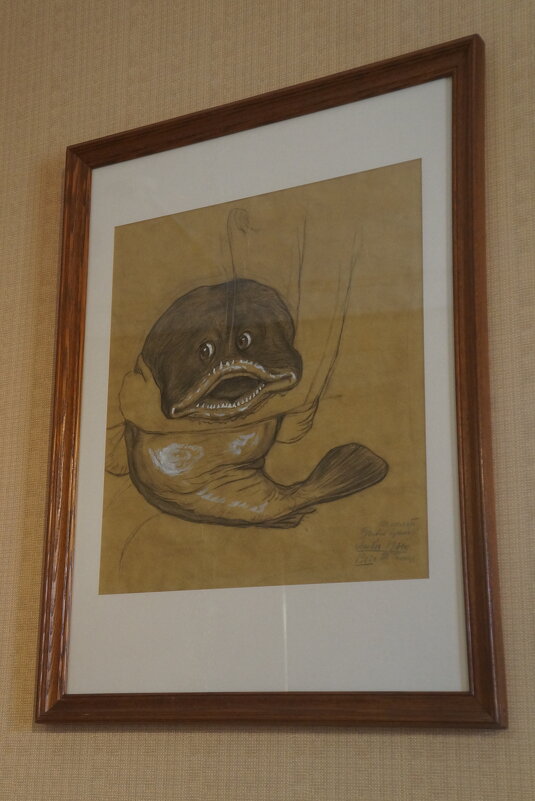 Рисунок Т.Н. Гиппиус "Рыбий щенок" (подарен художницей Л.Д. Блок) - zavitok *