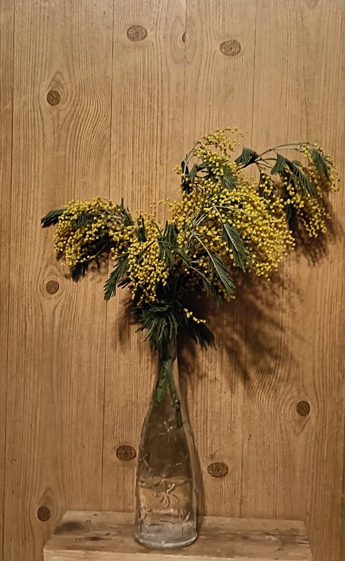 это наступила весна... - Галина R...