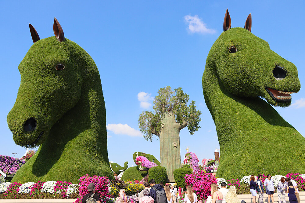 В парке цветов - Галина Ильясова