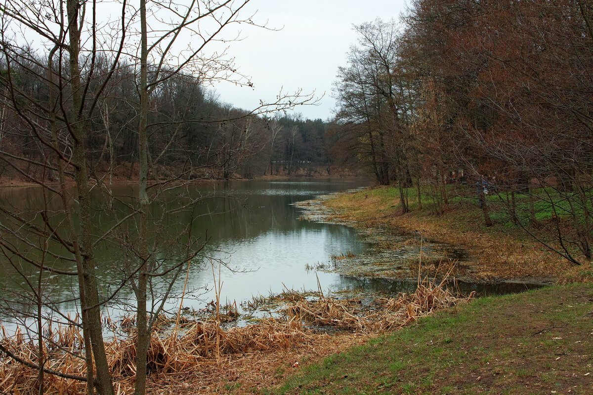 Верхний Кузьминский пруд - Игорь Белоногов